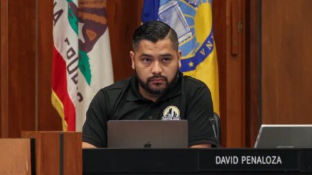 Santa Ana’s Bleak Budget Leads to Commission Purge