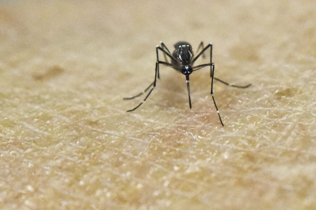 Orange County West Nile Cases Reach 36 in 2026 as… Orange County West Nile Cases Reach 36 in 2026 as…