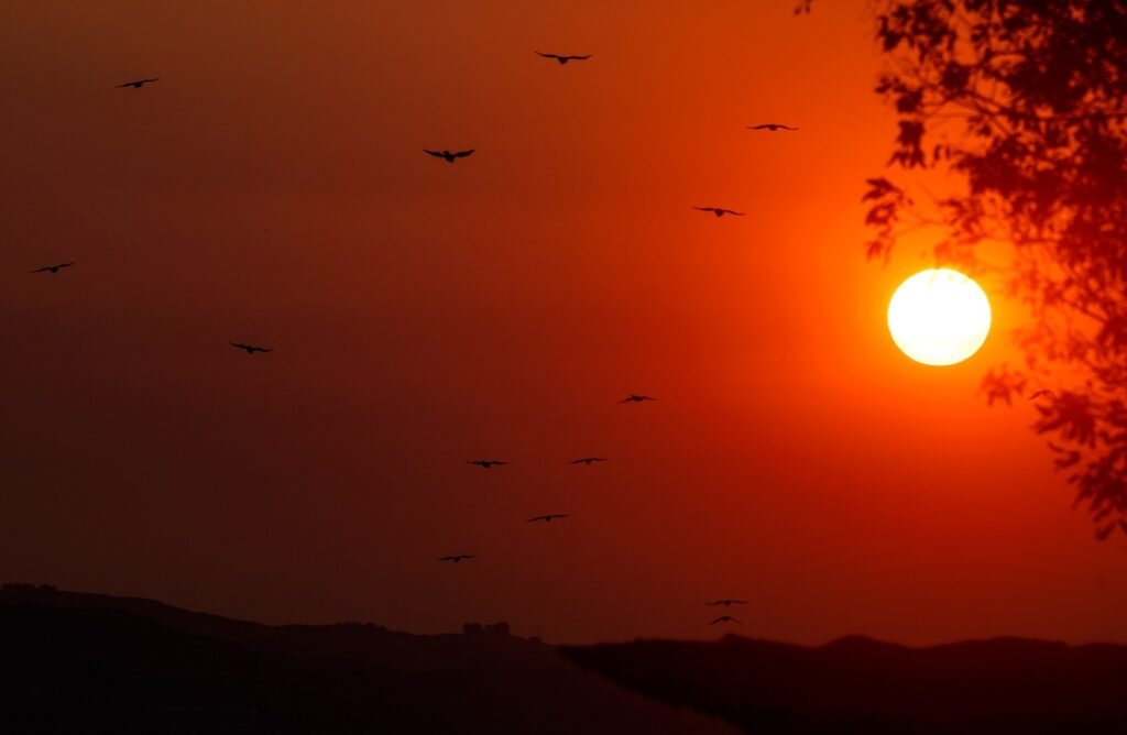 Heat wave again breaks records in Los Angeles, Orange counties